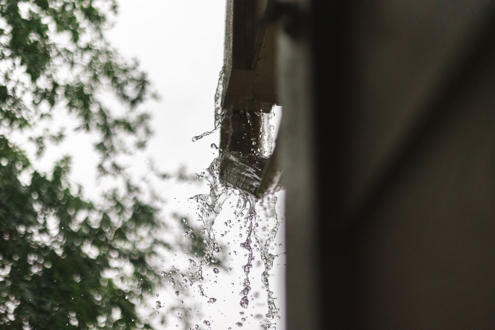 Maison avec gouttière, cuve de récupération et puisard d'infiltration des eaux de pluie dans un jardin.